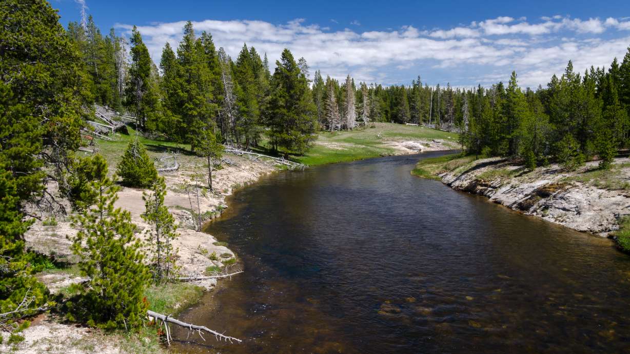 Yellowstone to clear Soda Butte Creek of nonnative fish