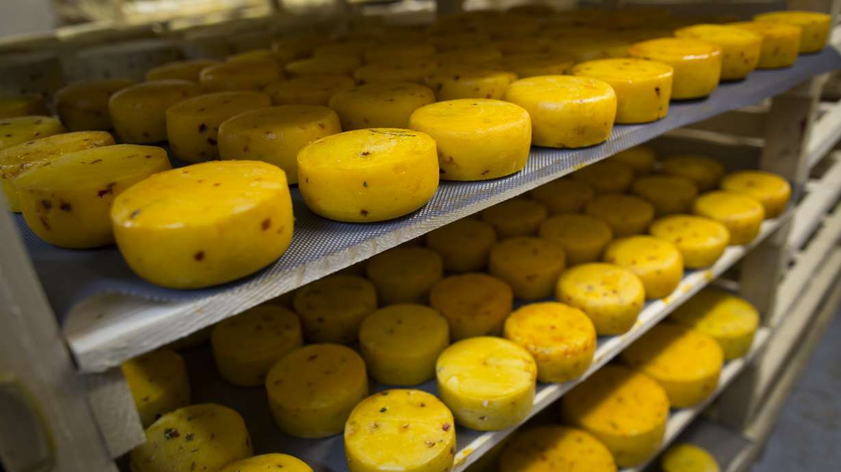 Russia steamrolls Western cheese, fruit to enforce ban