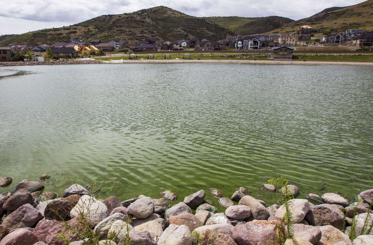 The Blackridge Reservoir has been closed due to an algae bloom that poses a potential health risk, in Herriman on Friday, Aug. 7, 2015. (Photo: Stacie Scott, Deseret News)