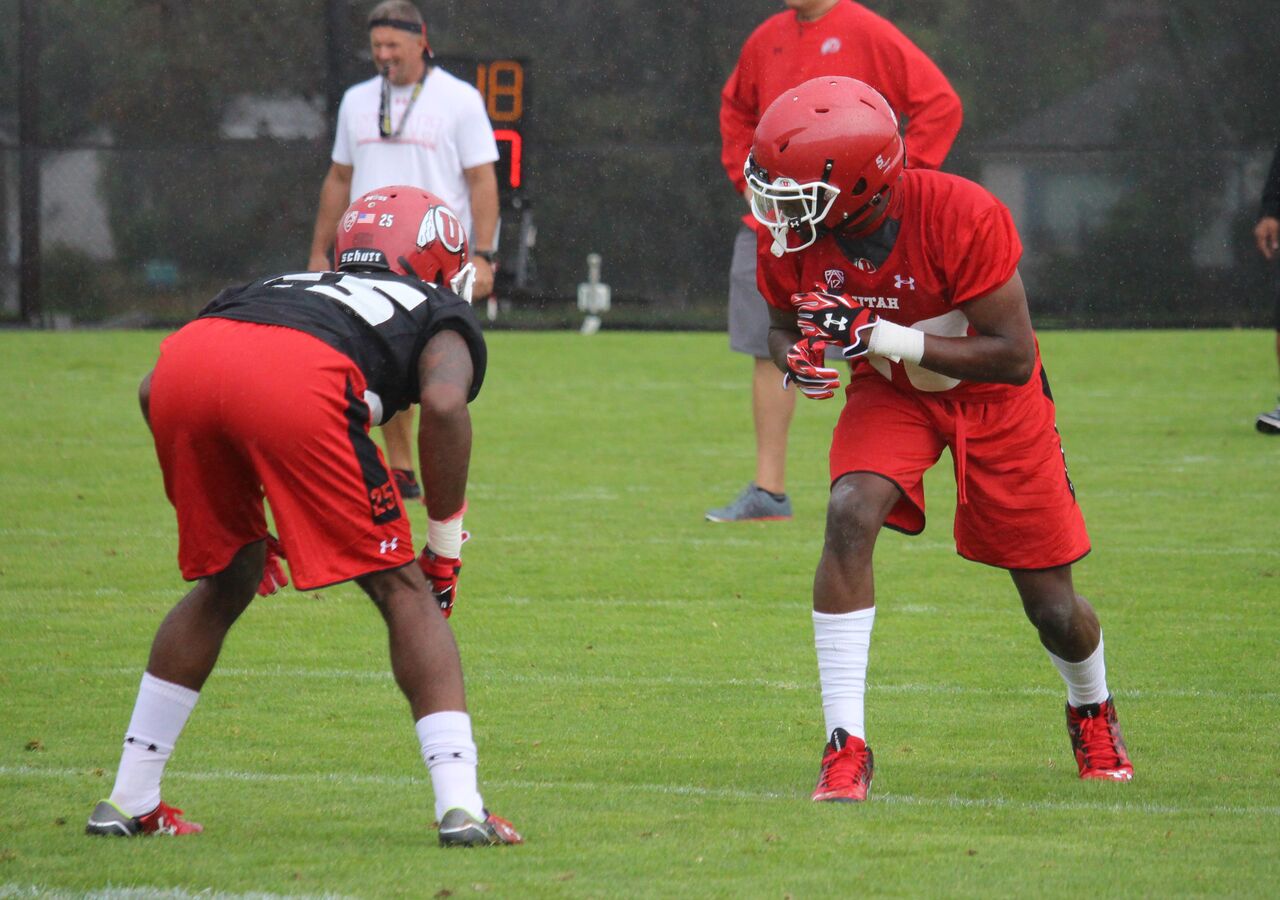 (Photo: Holli Joyce)