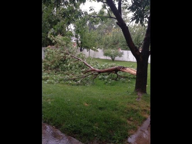 Poderosa tormenta azota UT causando daños y privando de electricidad a muchos