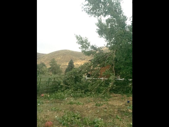 Poderosa tormenta azota UT causando daños y privando de electricidad a muchos