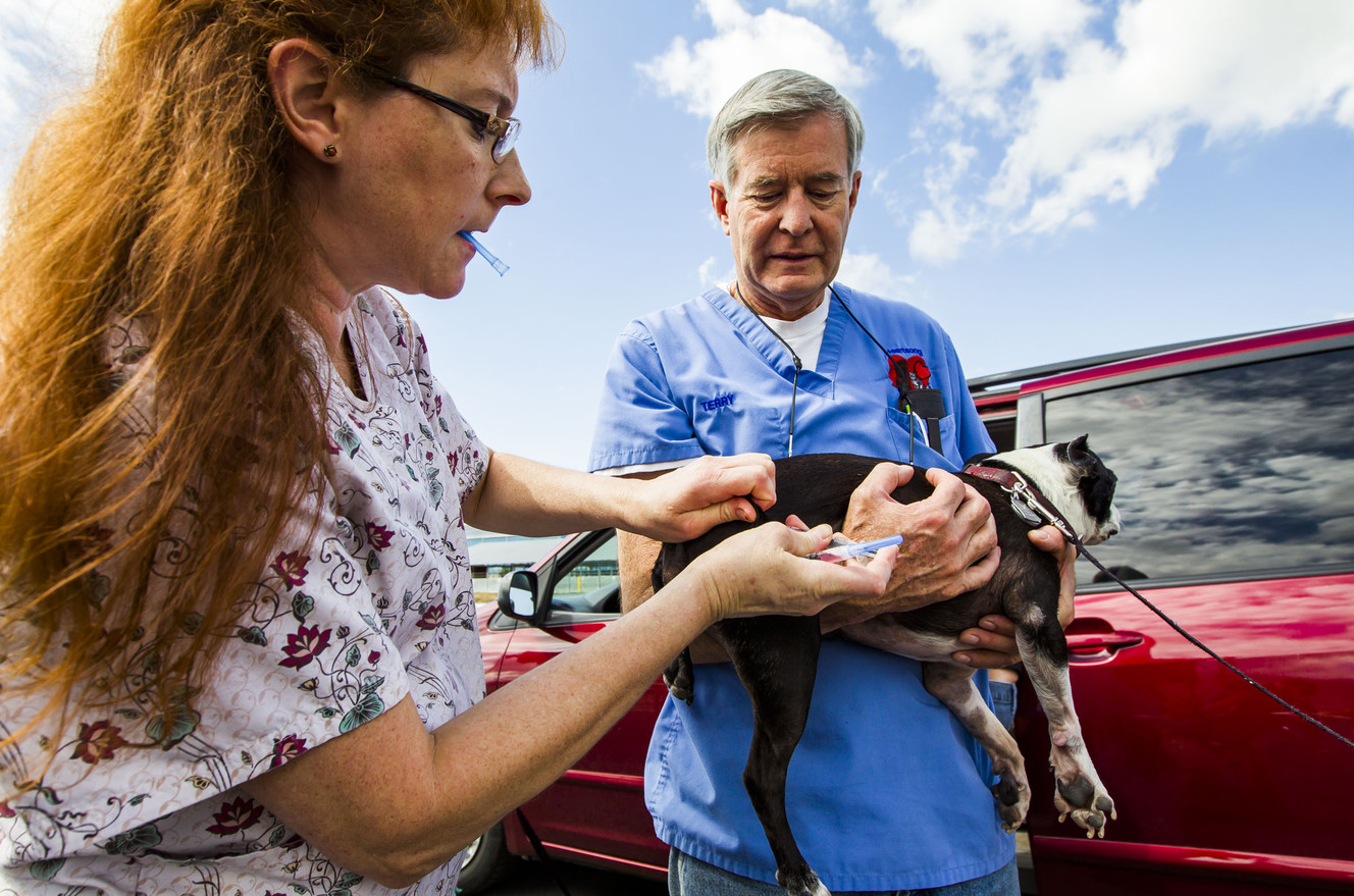 Davis County drive-thru clinic offers convenient vaccinations to pets