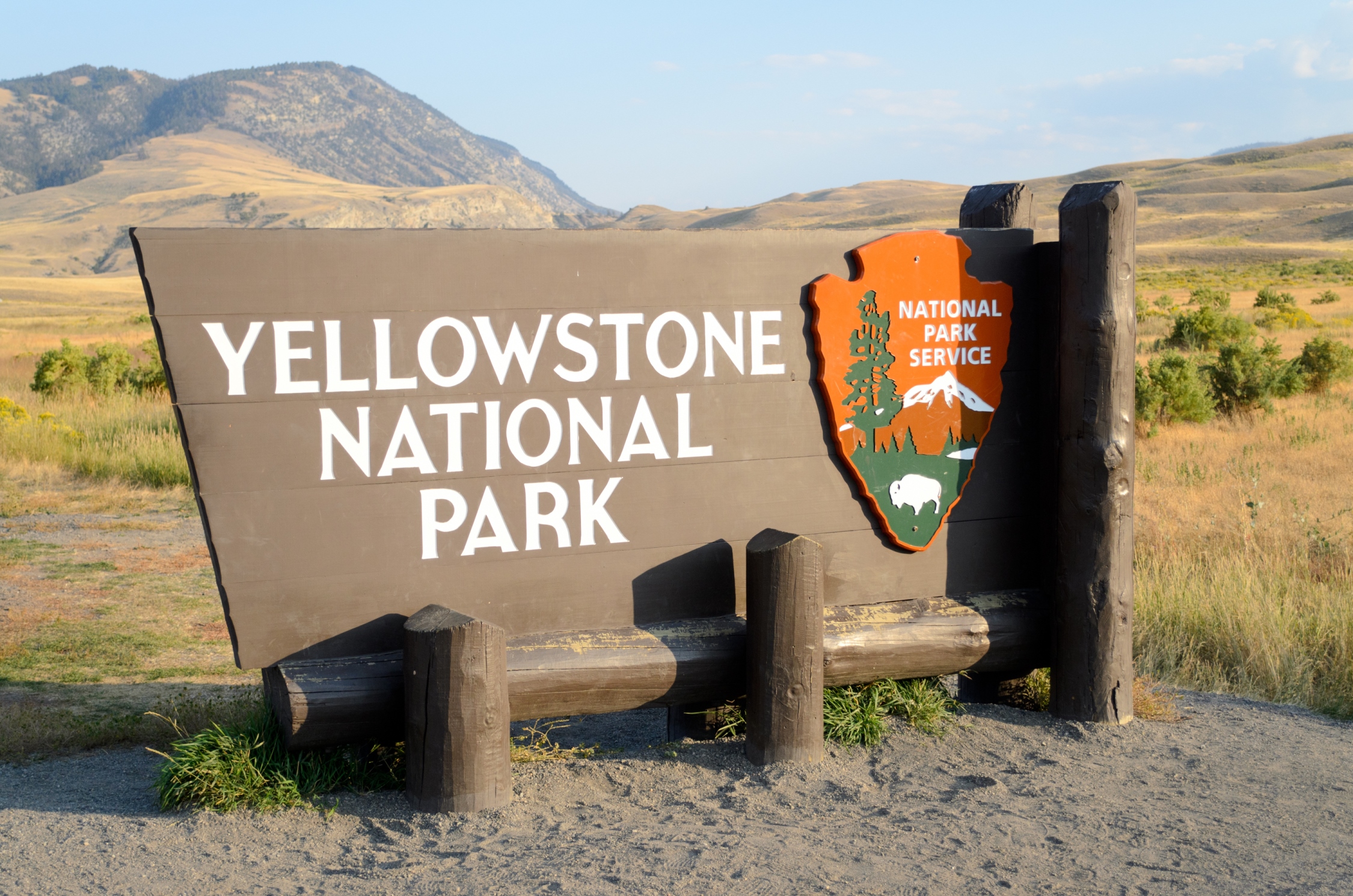 Man found dead in Yellowstone attacked by grizzly bear