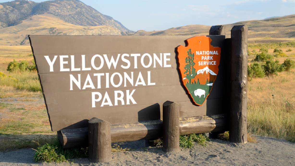 Bison rams, injures Utah couple at Yellowstone