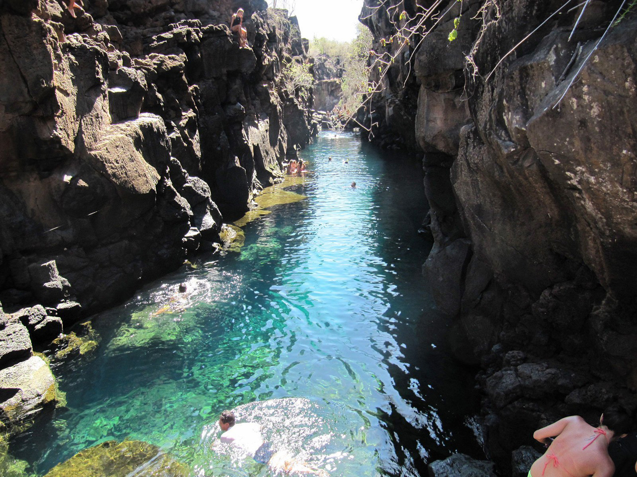 Las Grietas, Puerto Ayora, Ecuador. The ocean water pool Las Grietas stands between two tall cliffs on the island of Santa Cruz. Visitors can either bring their own snorkel gear or rent equipment in Puerto Ayora. (Photo: Tripadvisor Traveler)
