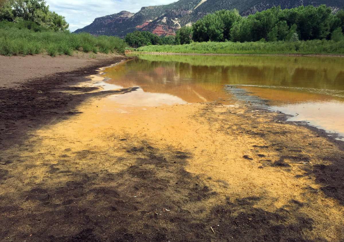 As the Animas River begins to recede it reveals a sludge left behind just north of Durango Colo., on Friday, Aug. 7, 2015, from the Gold King Mine spillage that happened on Wednesday north of Silverton Colo. Federal environmental officials say it's too early to know whether heavy metals that spilled into a river from a Colorado mine pose a health risk. (Jerry McBride/The Durango Herald via AP)