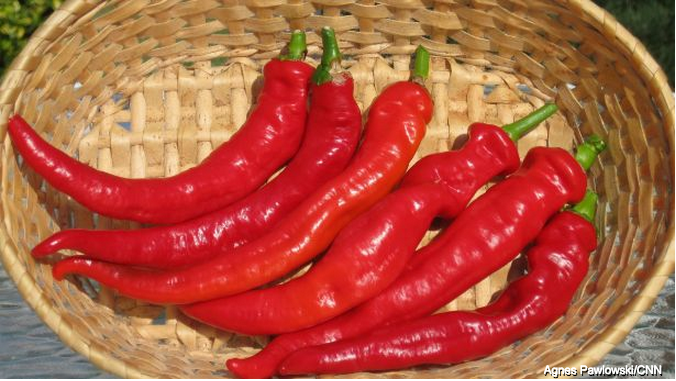 Estudio: "La comida picante podría ayudar a vivir por más tiempo y consumir menos calorías"