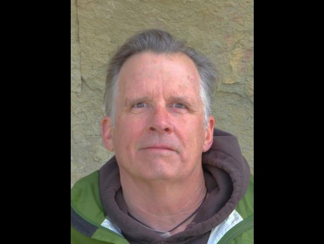 Capturan oso bebé relacionado con ataque fatal en Yellowstone; madre sería sacrificada 