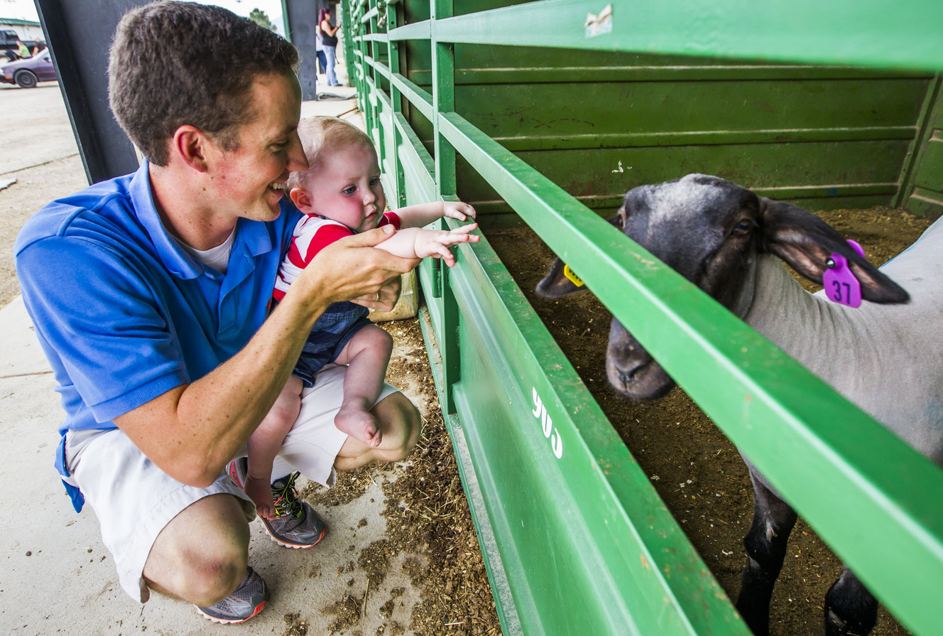 Kevin Wagstaff holds his son, William, 1 year, as they look at animals at the 79th-annual Salt Lake County Fair in South Jordan on Saturday, Aug. 15, 2015. (Photo: Stacie Scott, Deseret News)