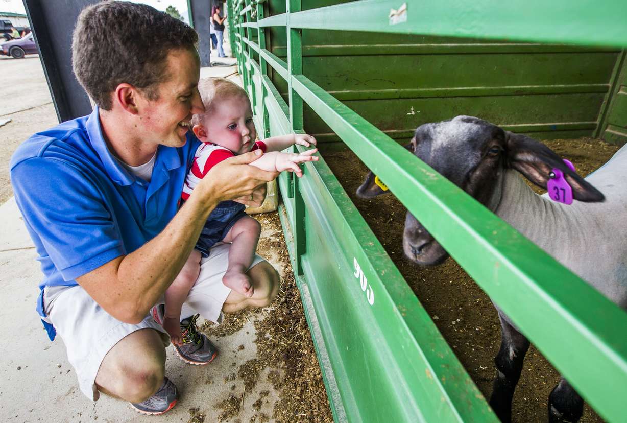 Kevin Wagstaff holds his son, William, 1 year, as they look at animals at the 79th-annual Salt Lake County Fair in South Jordan on Saturday, Aug. 15, 2015. (Photo: Stacie Scott, Deseret News)