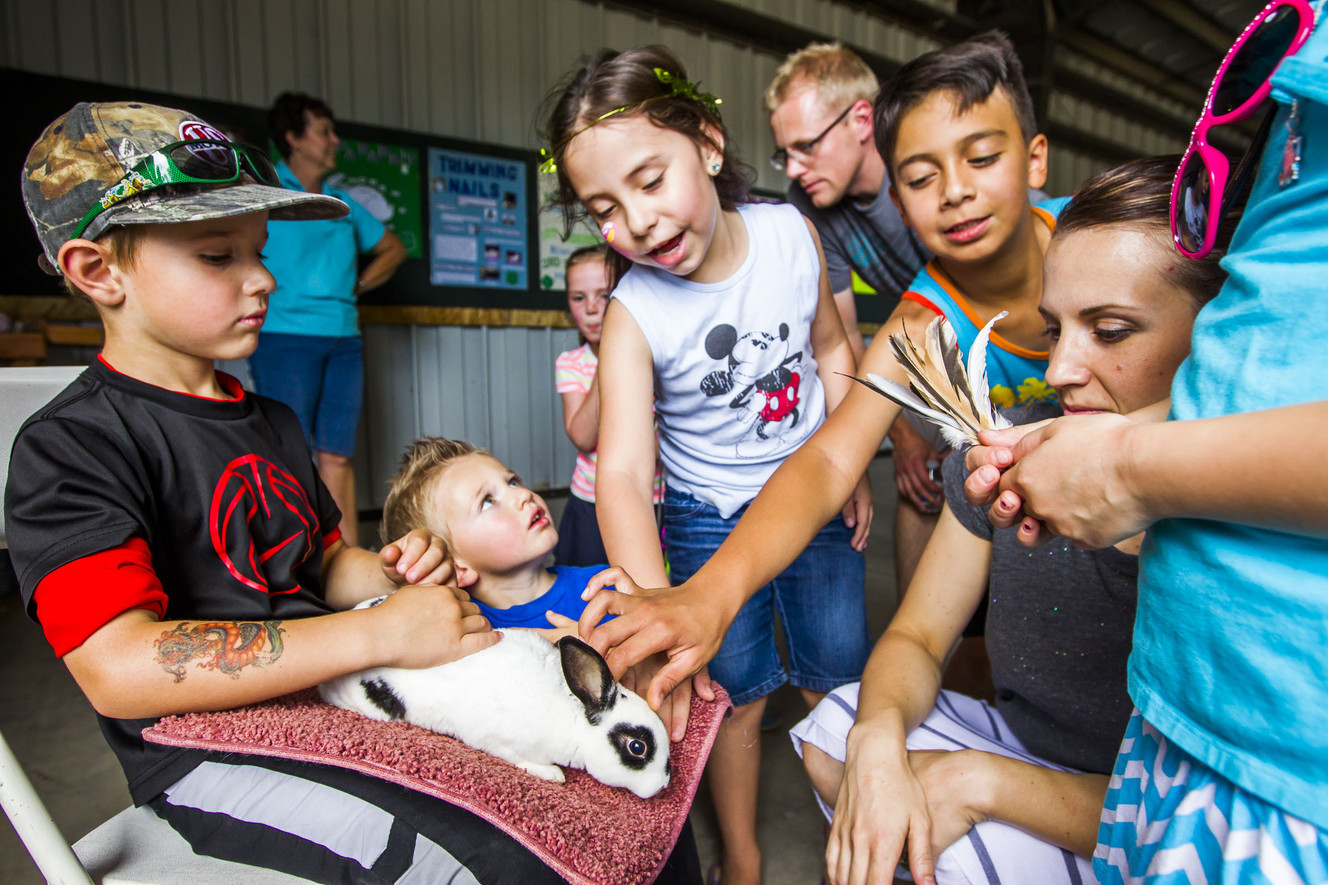 Brock Catmull, 6, holds a bunny being pet by other children attending at the Salt Lake County Fair in South Jordan on Saturday, Aug. 15, 2015. (Photo: Stacie Scott, Deseret News)