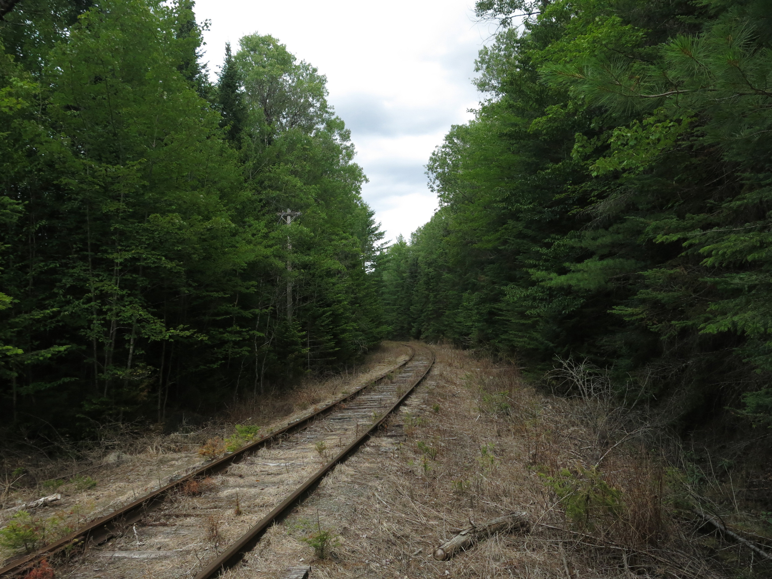 Slump in oil-by-rail shipments boosts car storage business