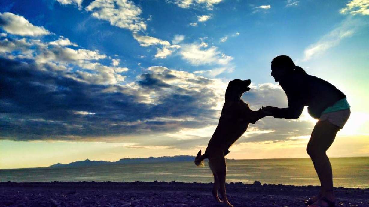 Top 5 trails in Utah to hike with your dog