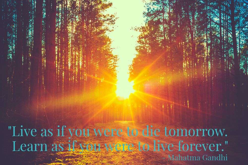 9 inspiring quotes on education you may not have heard before