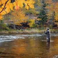 Casting passion: What is fly-fishing's allure?