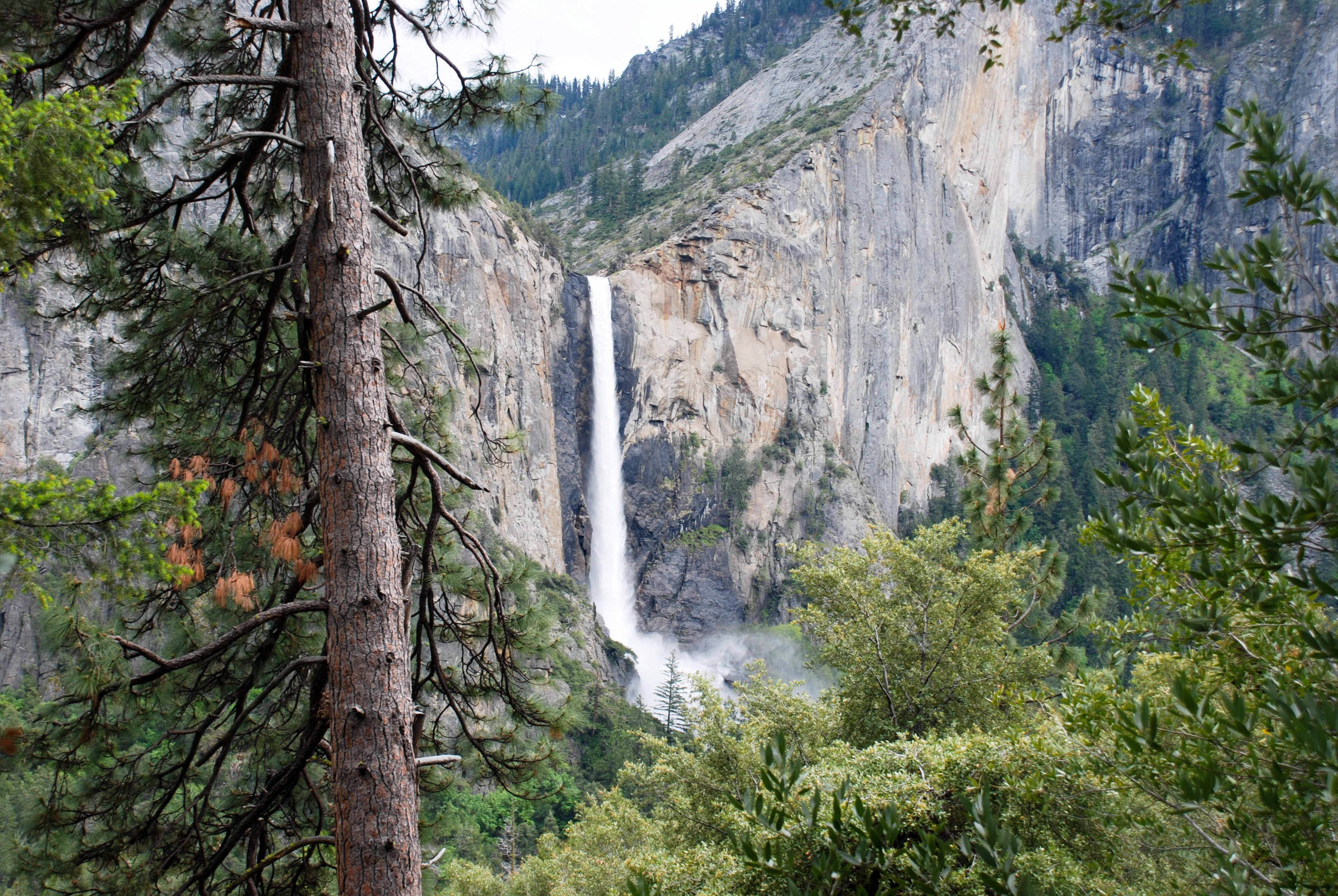 2nd case of plague &mdash; another Yosemite visitor &mdash; investigated in California