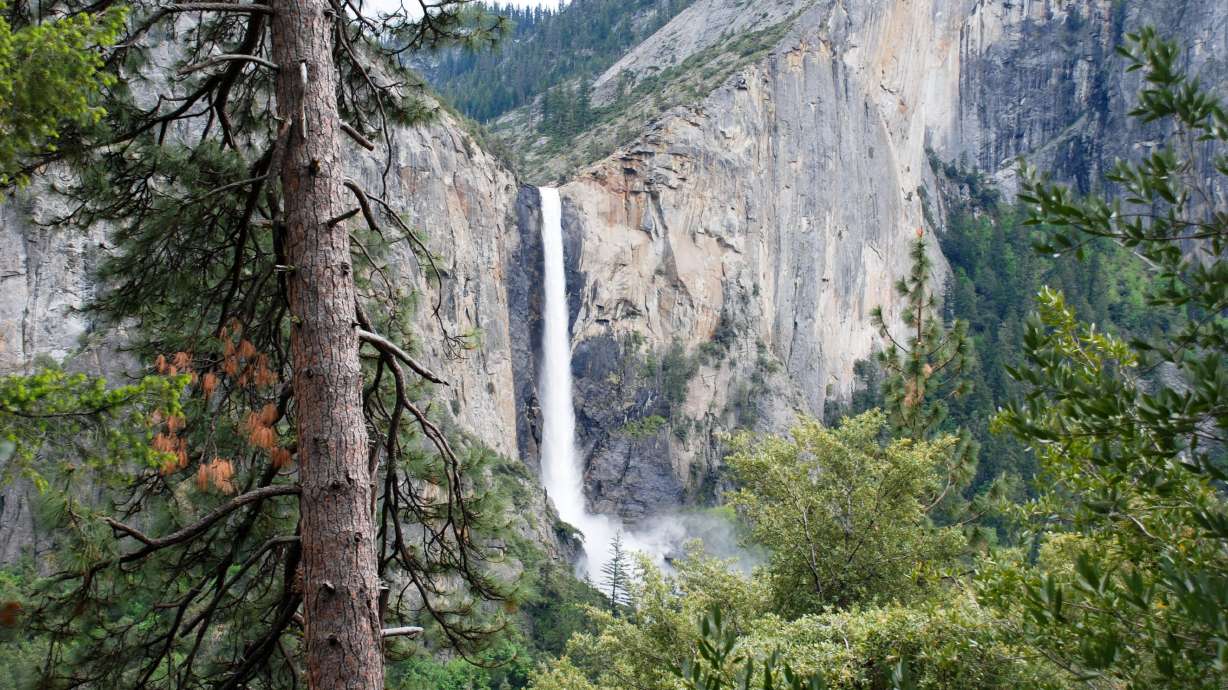 2nd case of plague — another Yosemite visitor — investigated in California