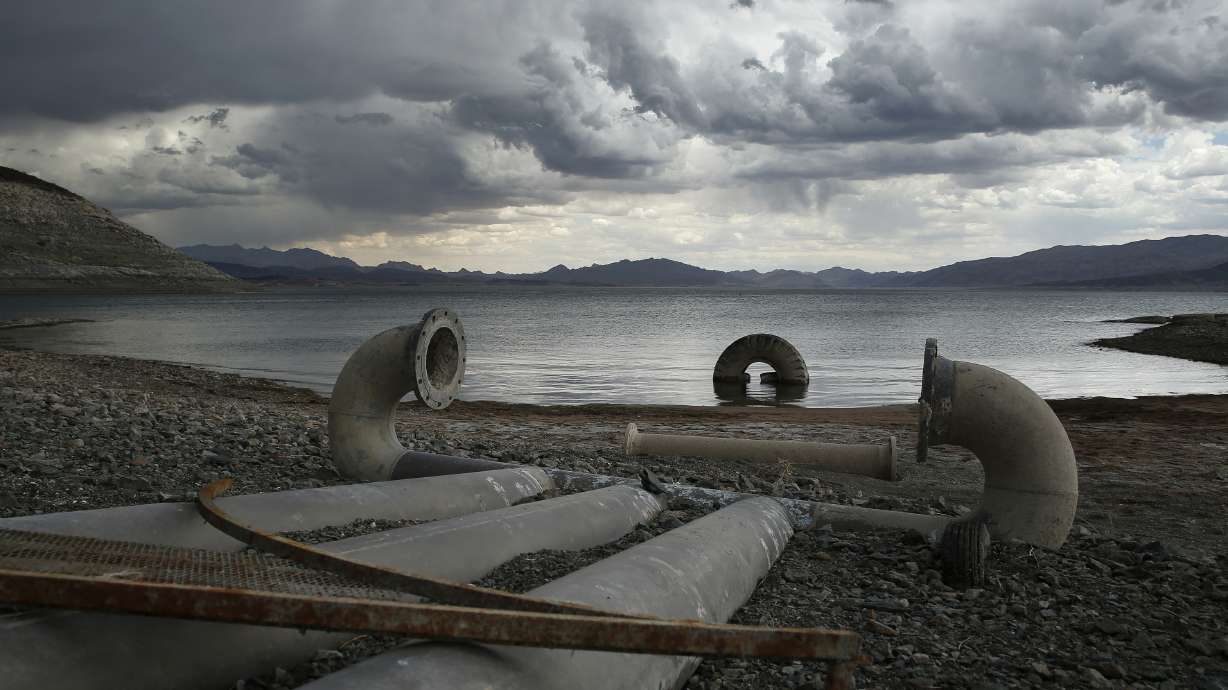Drought panel told there's forage, not water on Nevada range