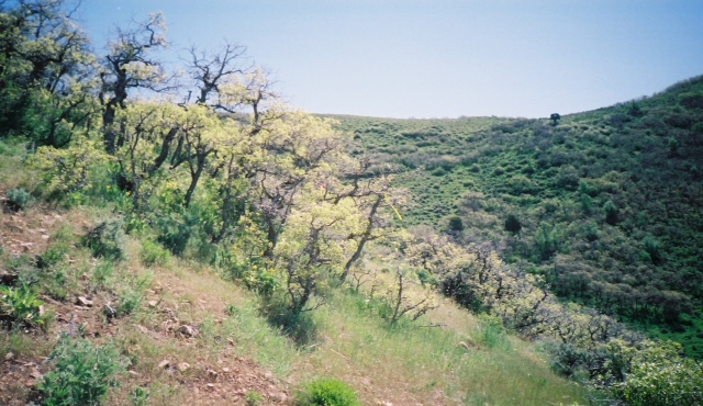 Top 5 ATV trails in Utah | KSL.com