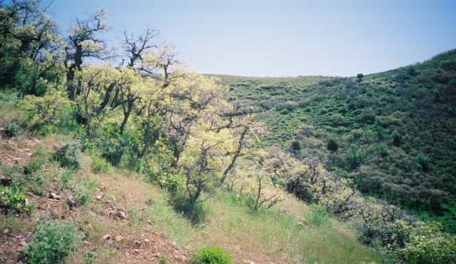 Monks Hollow Trail. Photo Credit: Dale Bartholomew/Utah State Parks & Recreation