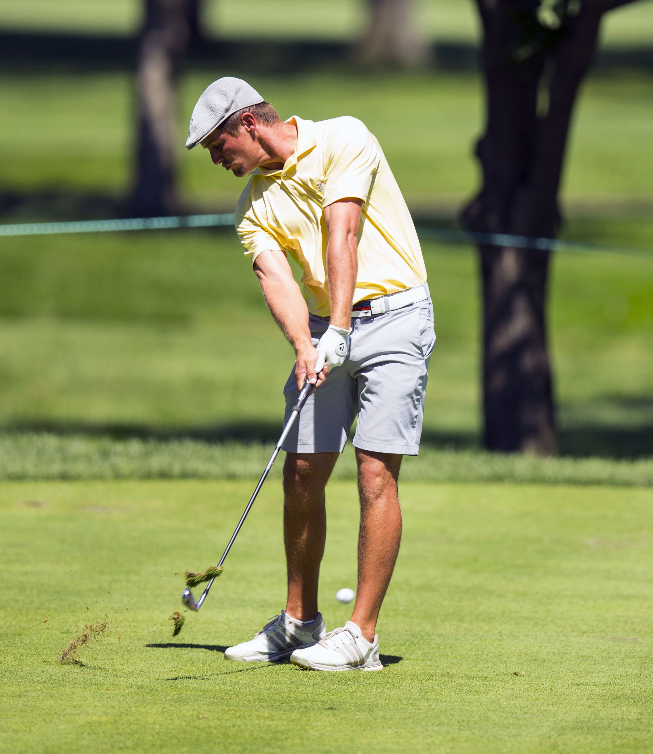 DeChambeau, Bard advance to US Amateur final