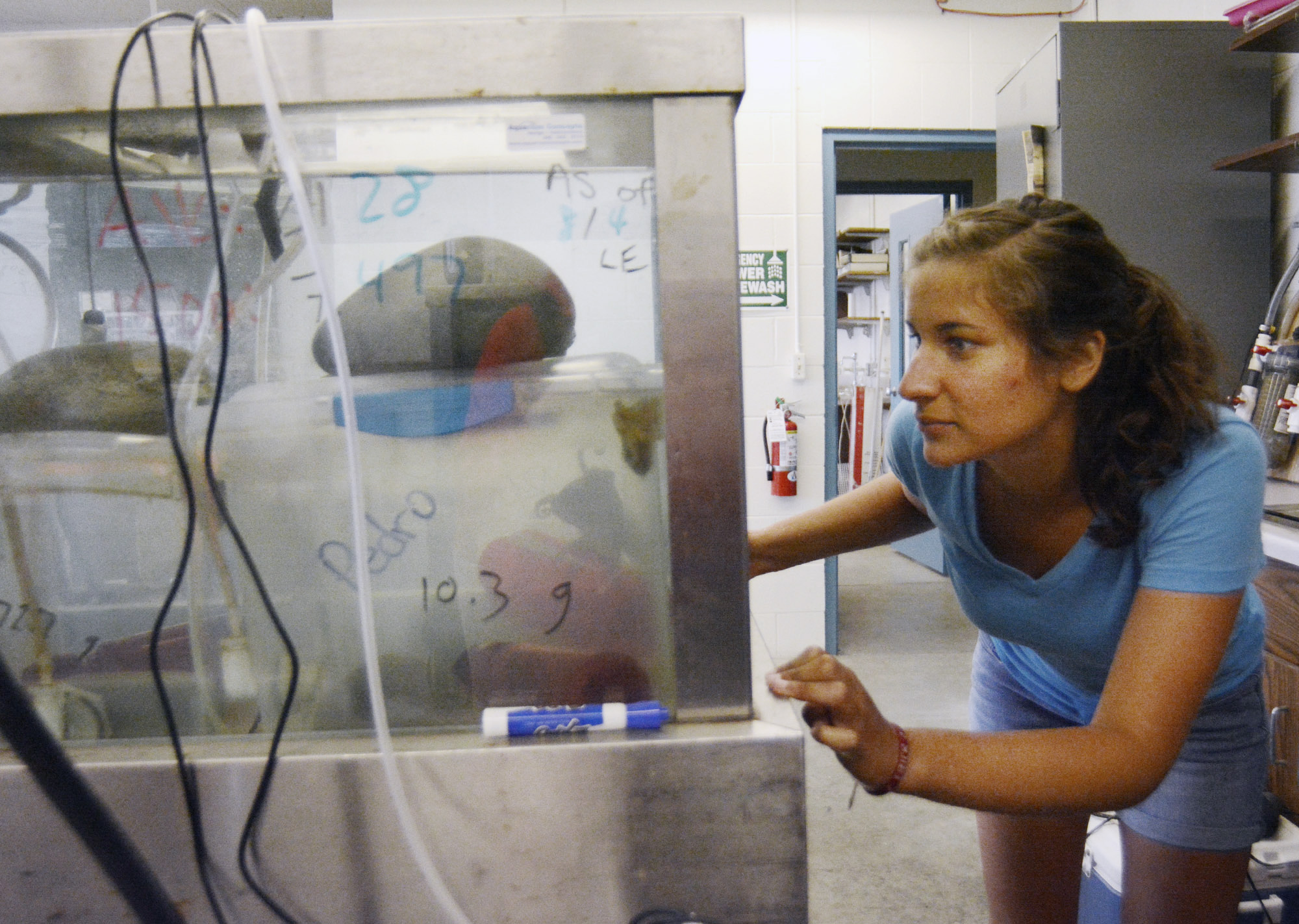 College students dive in to marine life at Rosario Beach
