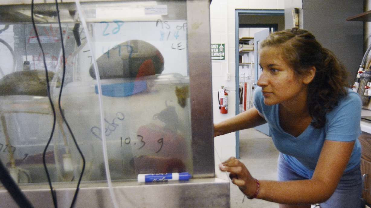 College students dive in to marine life at Rosario Beach