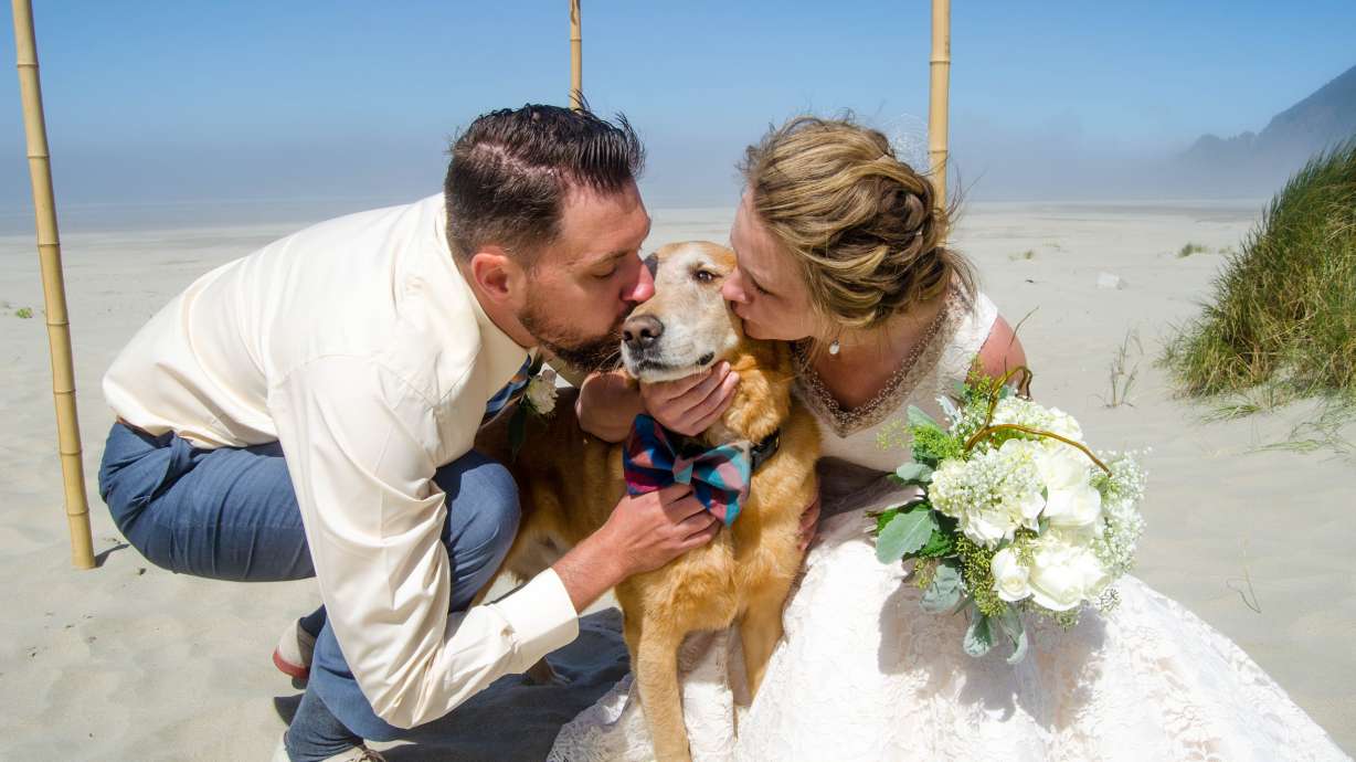 Utah dog with terminal cancer gets first look at ocean