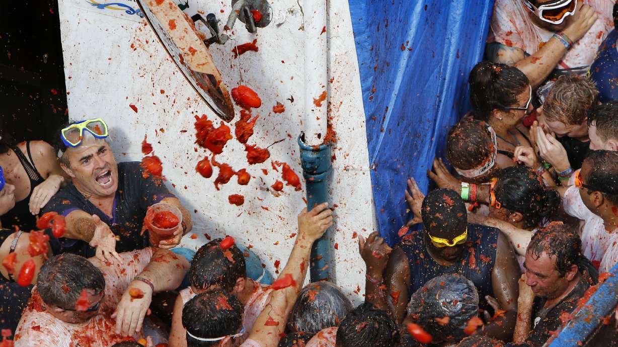 70th annual tomato battle leaves Spanish town red