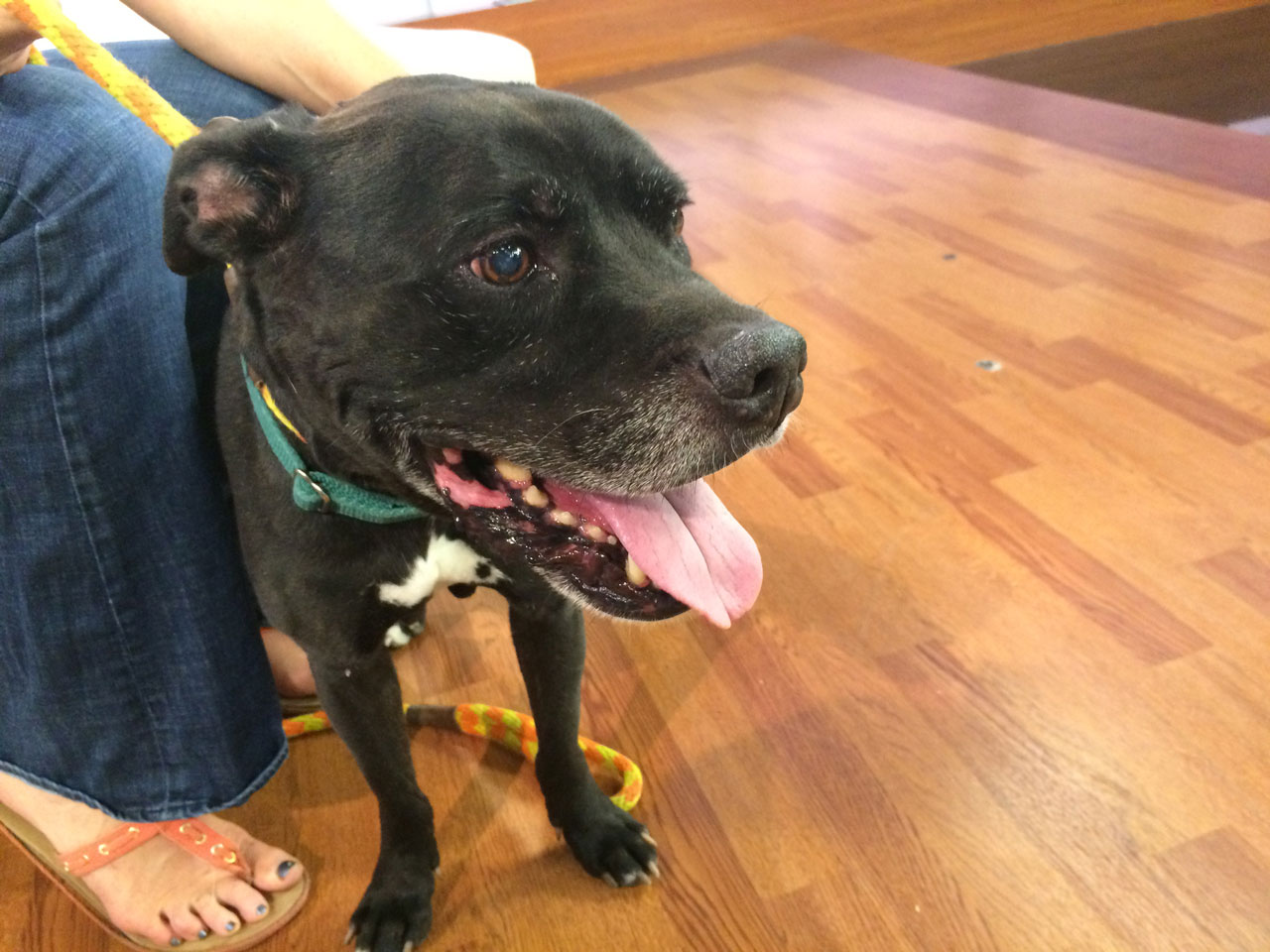 Photo: Martha Ostergar/KSL.com