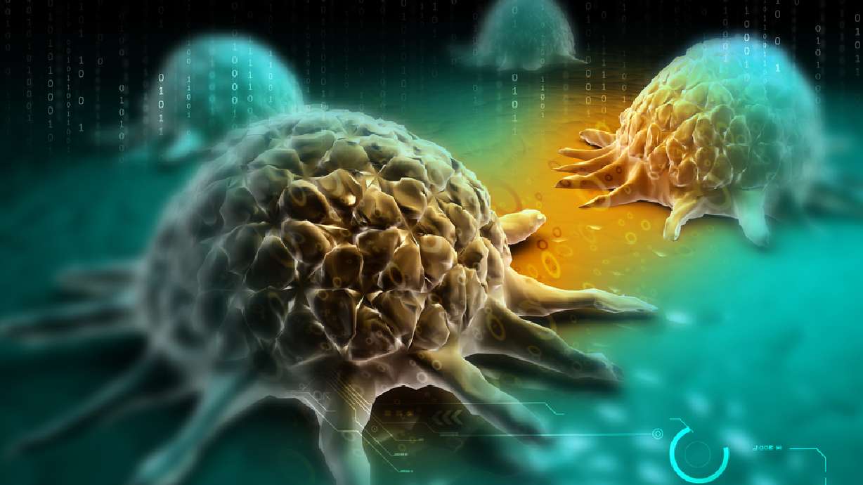 Cancer cells retrained to be normal again in new study
