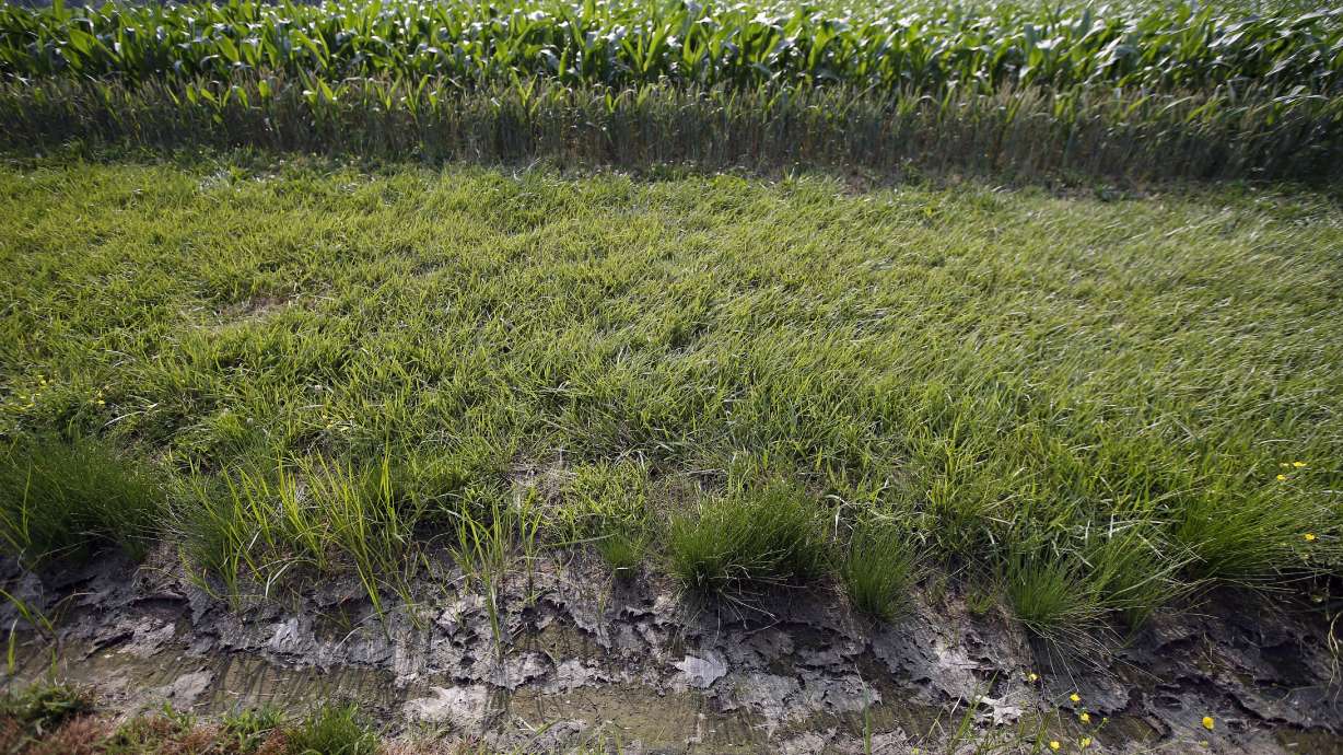 EPA: Clean water rule in effect despite court ruling