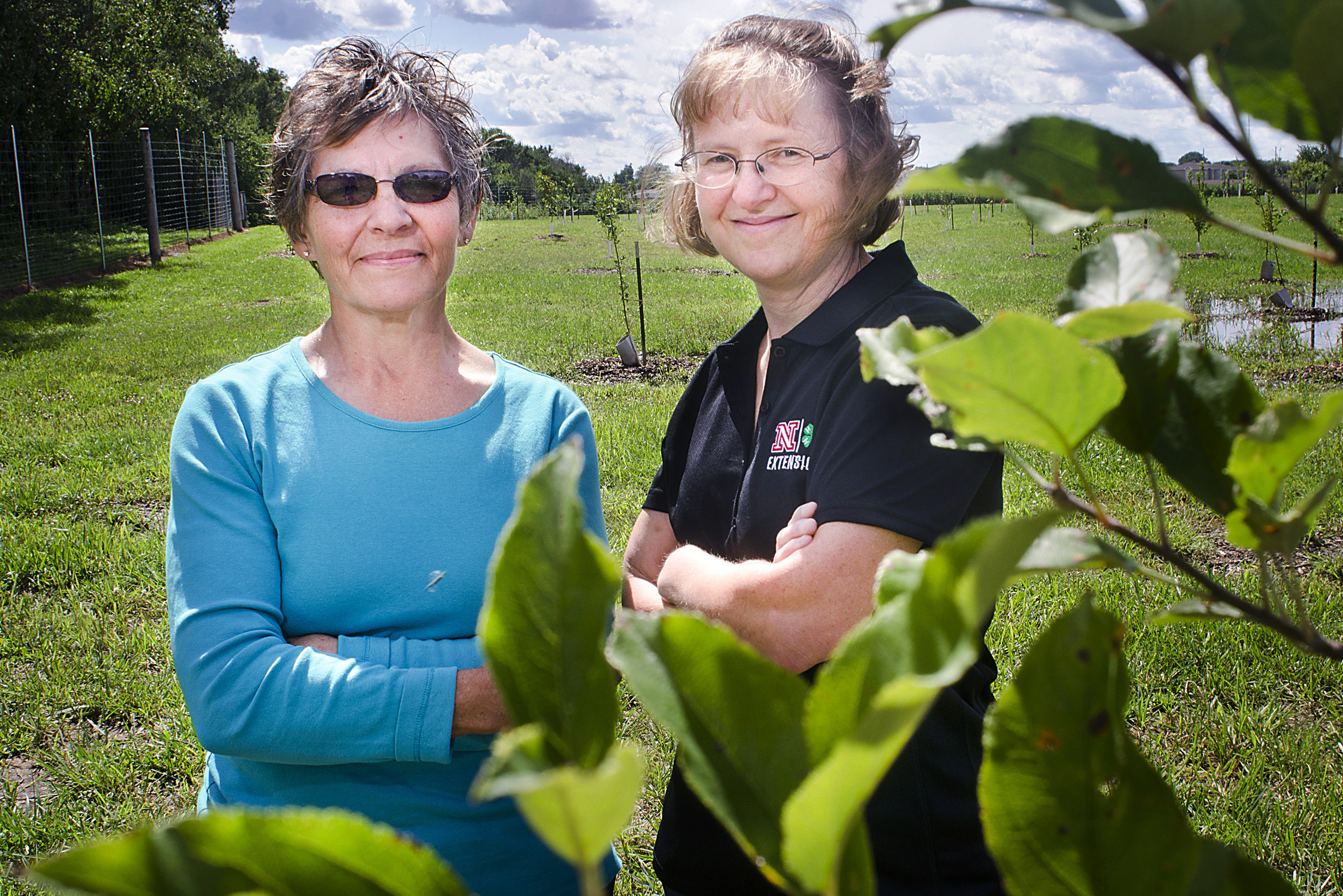Orchard grows food, sprouts education on raising fruit trees
