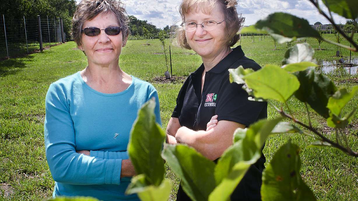 Orchard grows food, sprouts education on raising fruit trees