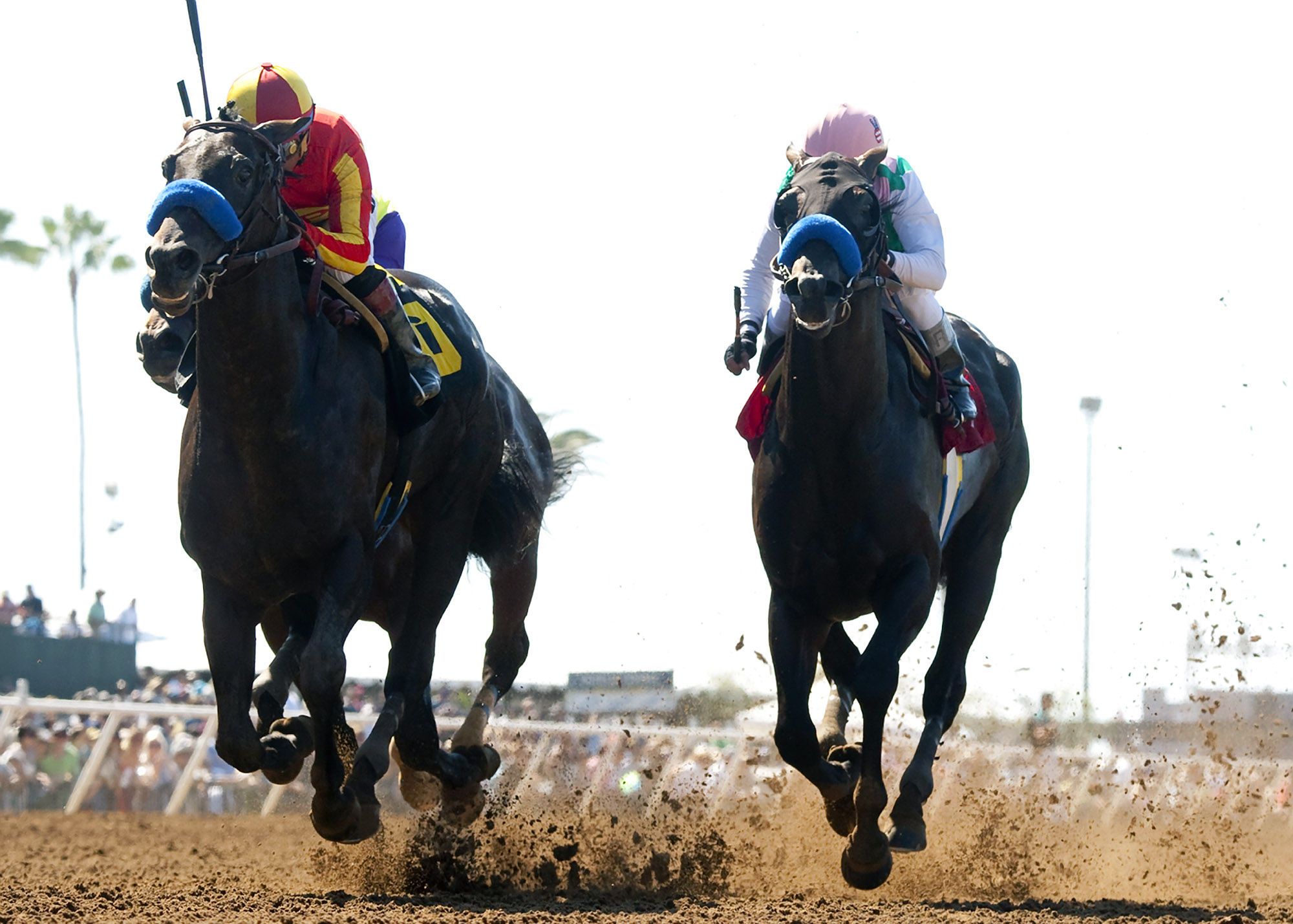 Gimme Da Lute wins $100,000 El Cajon Stakes at Del Mar