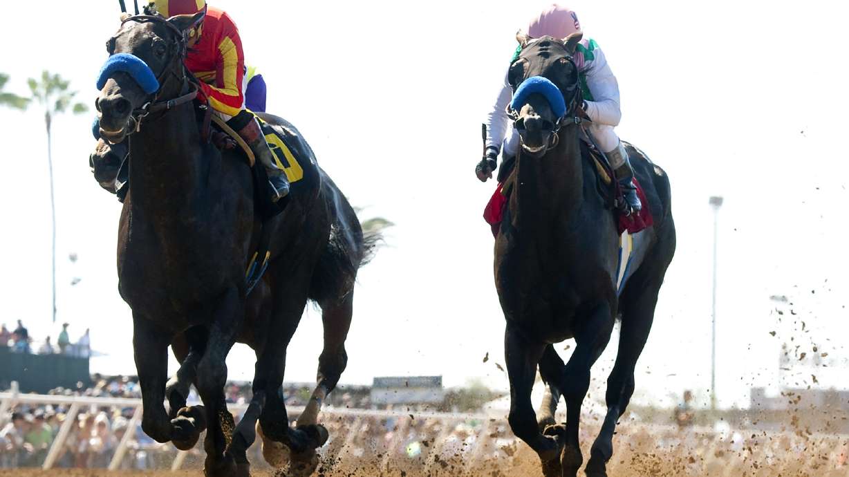 Gimme Da Lute wins $100,000 El Cajon Stakes at Del Mar