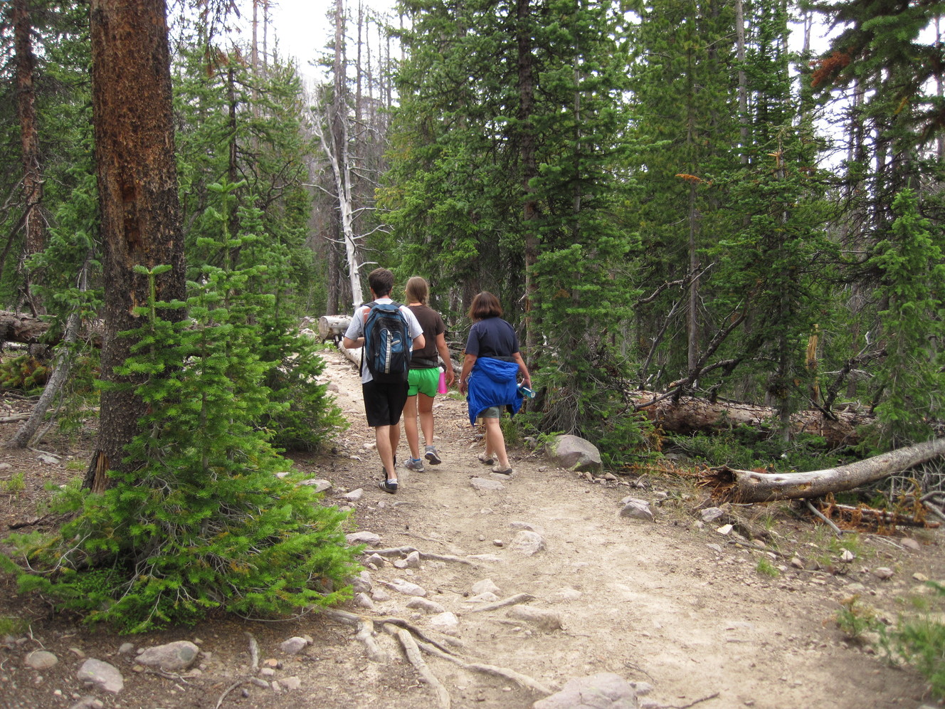 Traverse 7 mountain passes along Highline Trail
