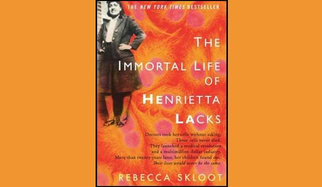 Back-to-school reads for mom and dad