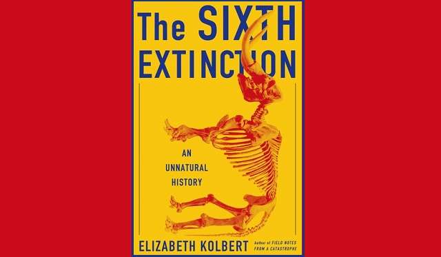 Back-to-school reads for mom and dad