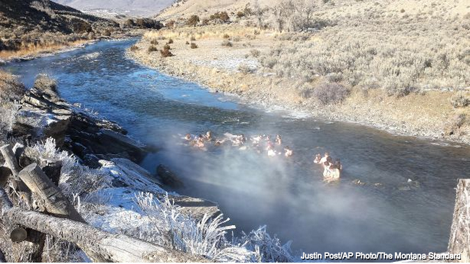 Perra perdida en Yellowstone luego de un accidente es hallada luego de 42 días