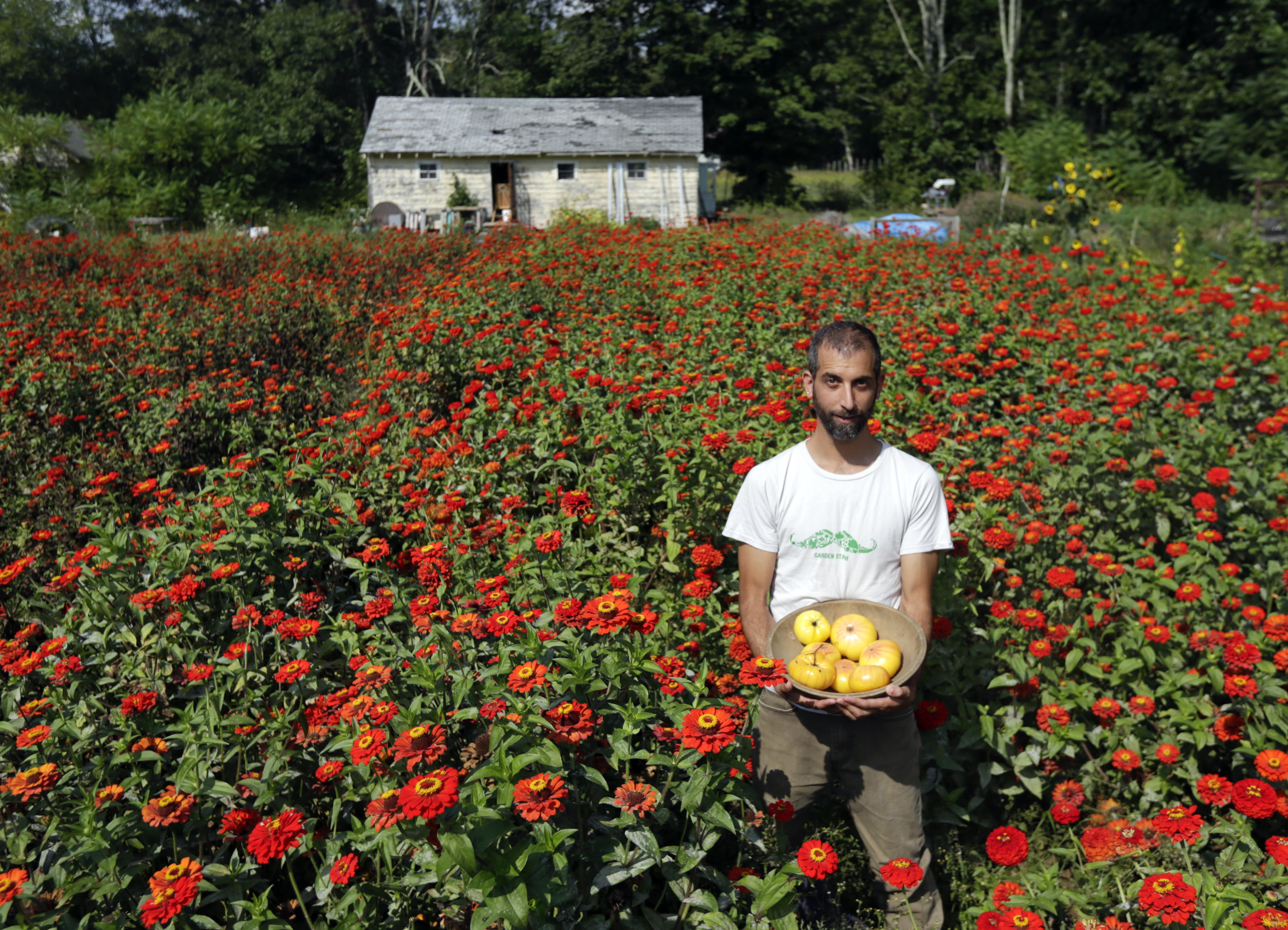 Hudson Valley organic farm produces seeds largely by hand