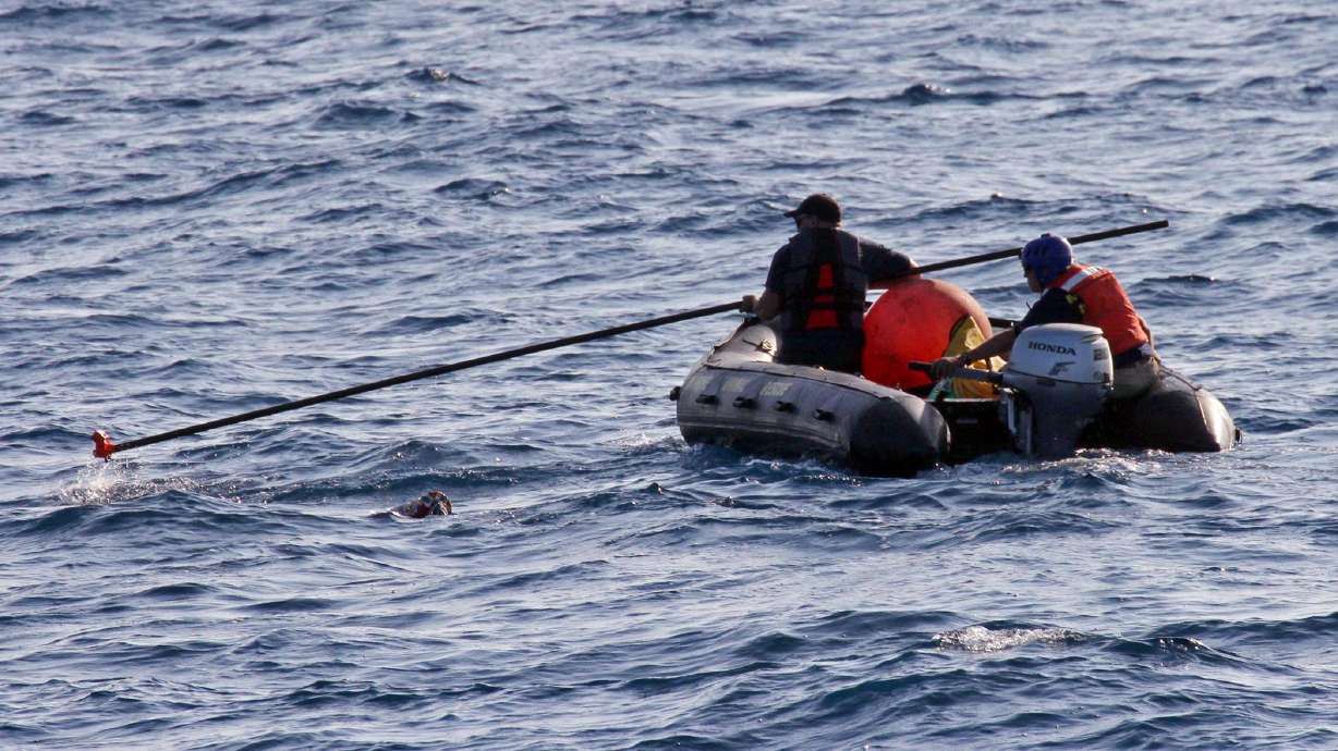 Search resumes for tangled blue whale off California coast