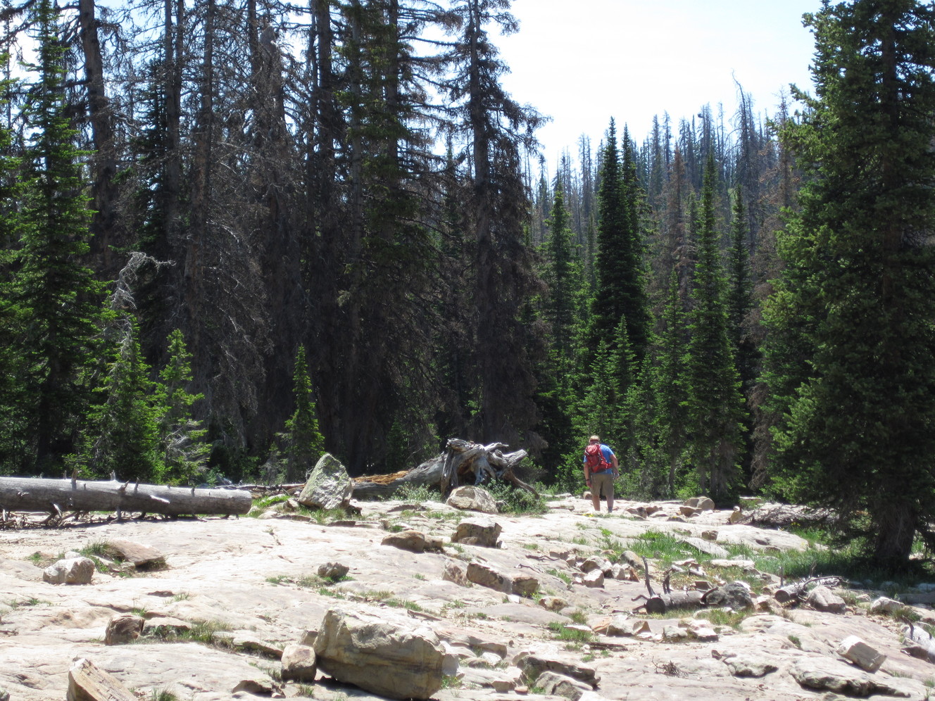 Large open areas often hold good spots to stop for a snack or set up a trail cairn for others to follow. (Photo: Michael Radice, KSL-TV)