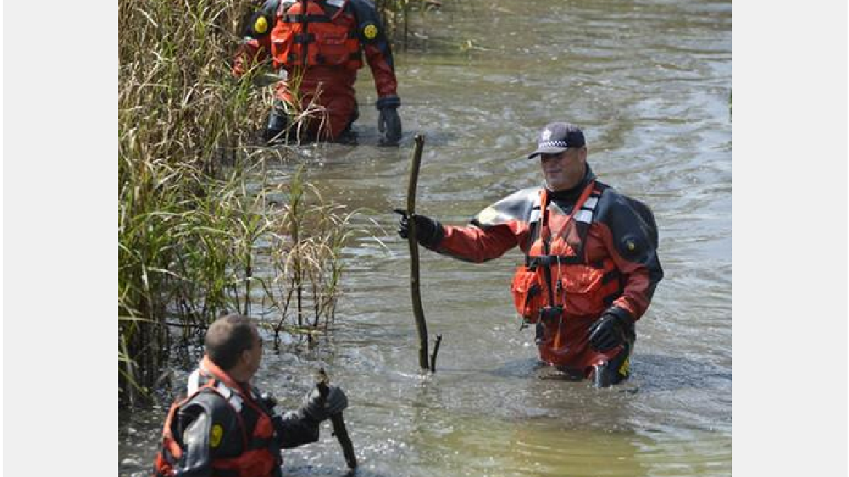 Chicago: hallan en un parque restos de niño muerto