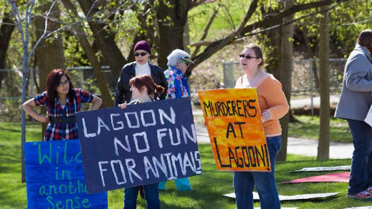 Animal rights activists sue over 'unconstitutional' free speech law