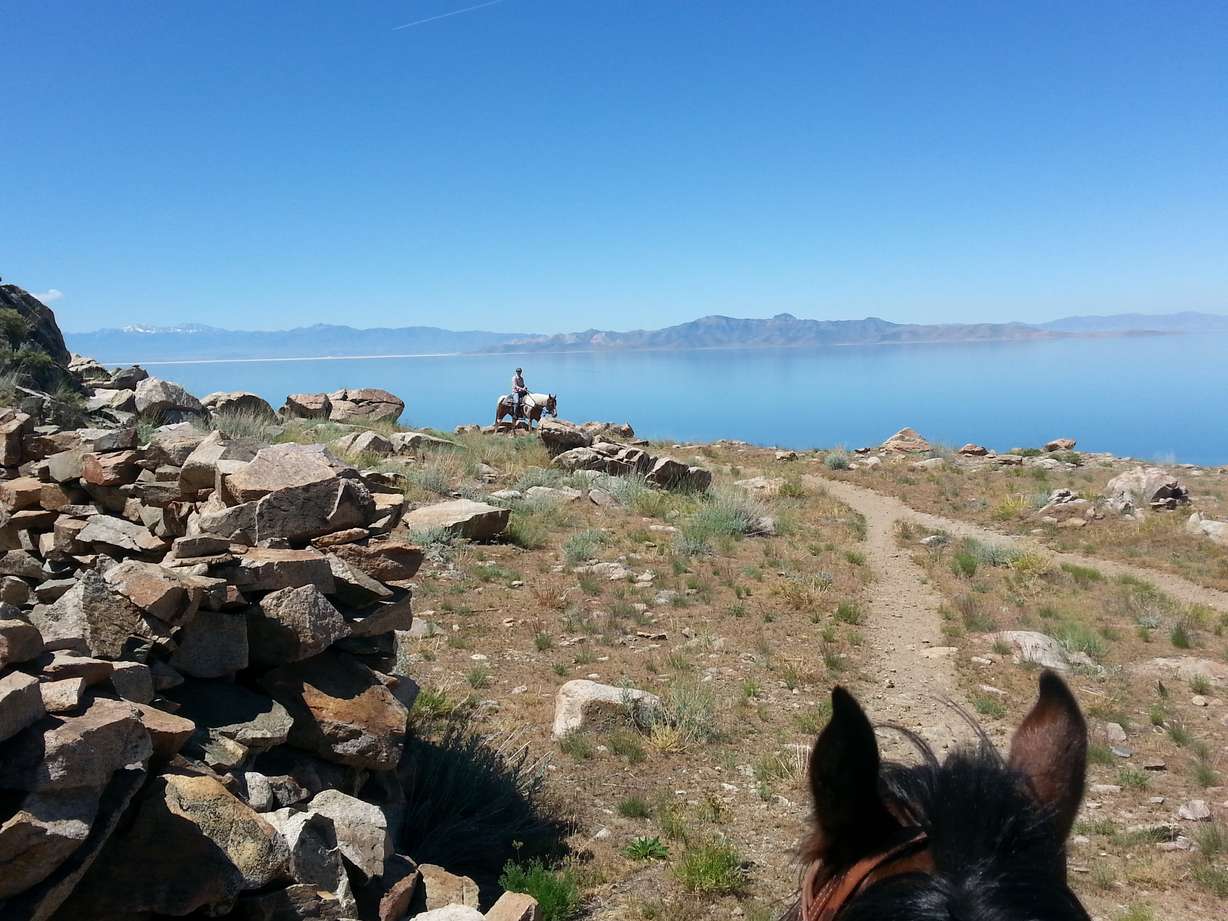 Photo credit: Antelope Island State Park