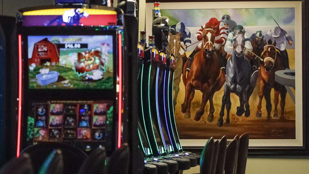 Track officials 'devastated' by ban on horse racing machines