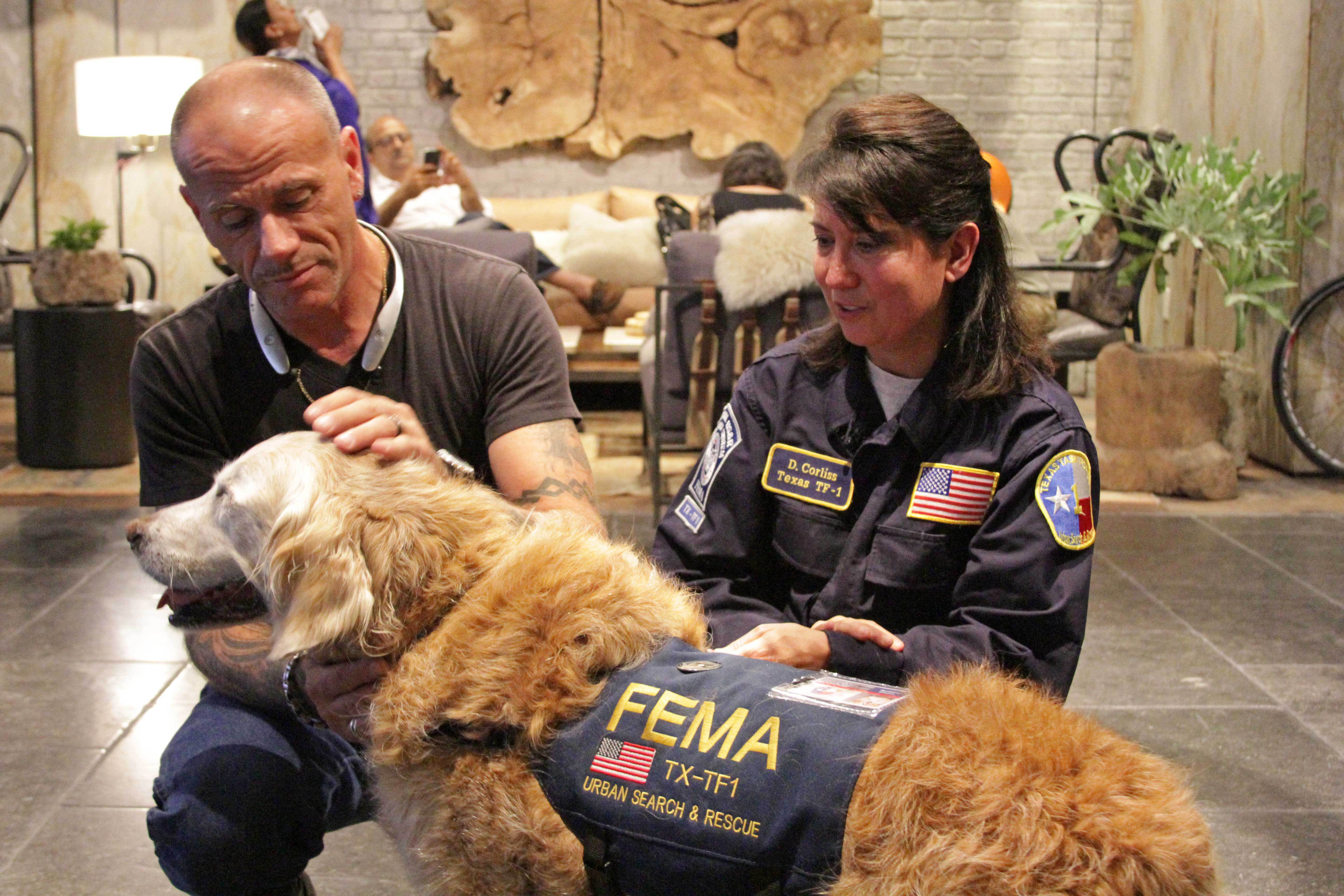9/11 rescue dog celebrates 16th birthday in New York City