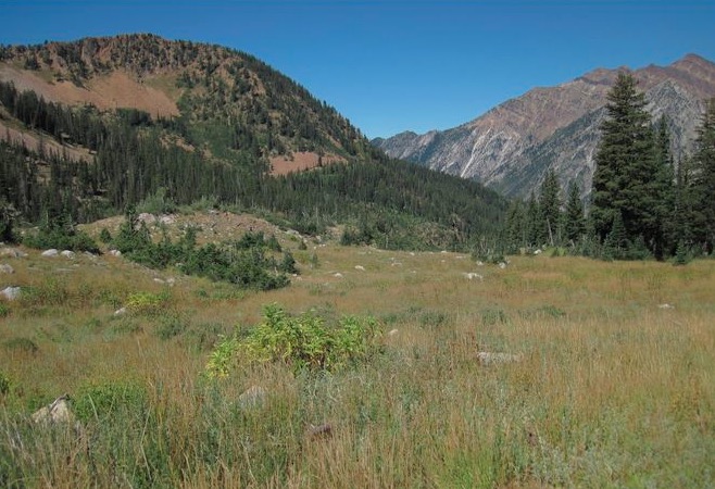 Photo Credit: Michael Radice